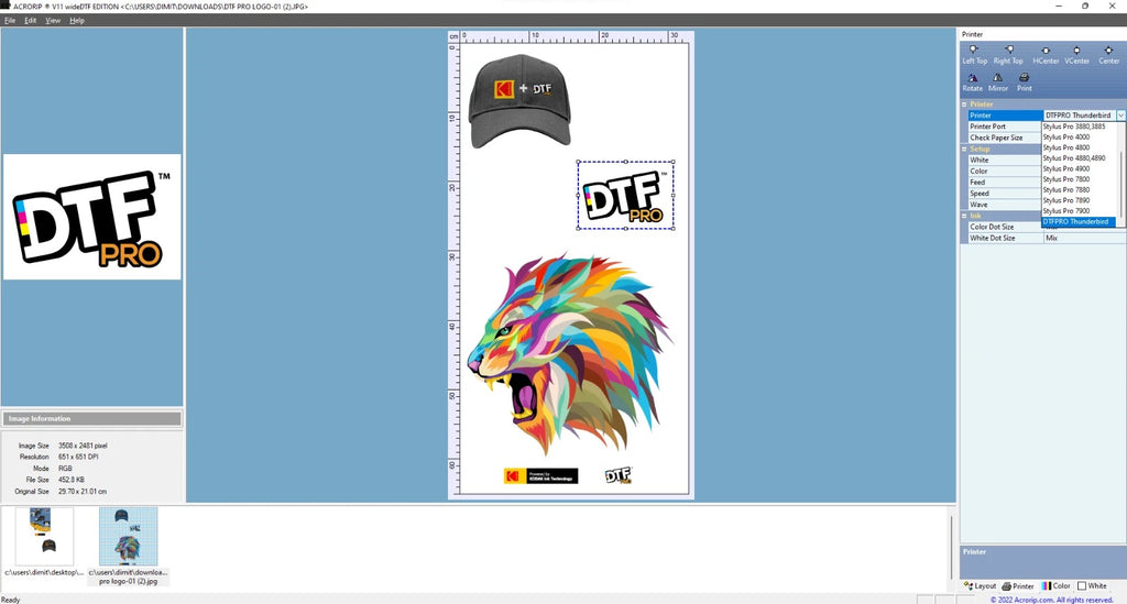 DTF RIP Software V11.2 Printing Software For Epson UV DTF DTG Printer L8050 L1800 L805 DTF Software DTF